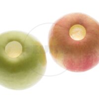 Feuma automatische appelschilmachine