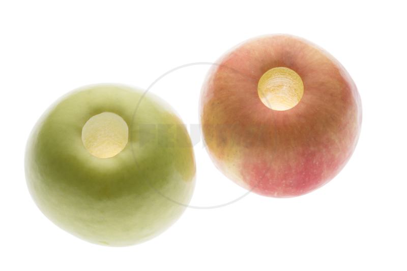 Feuma automatische appelschilmachine